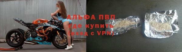 гидра Алексин