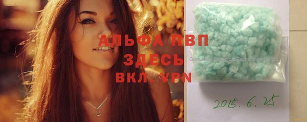 гидра Алексин