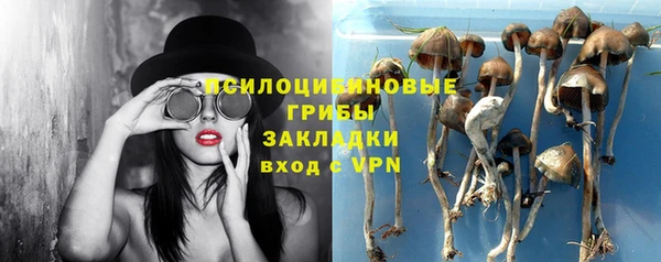 гидропоника Алексеевка