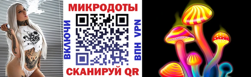 Псилоцибиновые грибы мухоморы  Чаплыгин 