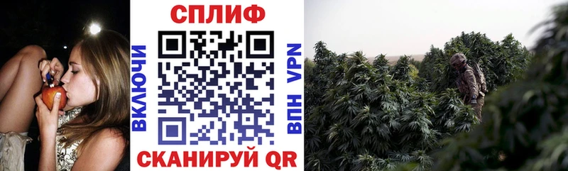 mega онион Чаплыгин Конопля сатива дарнет шоп